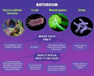 Bacteria is the source of odor in bathrooms