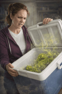 smelly cooler