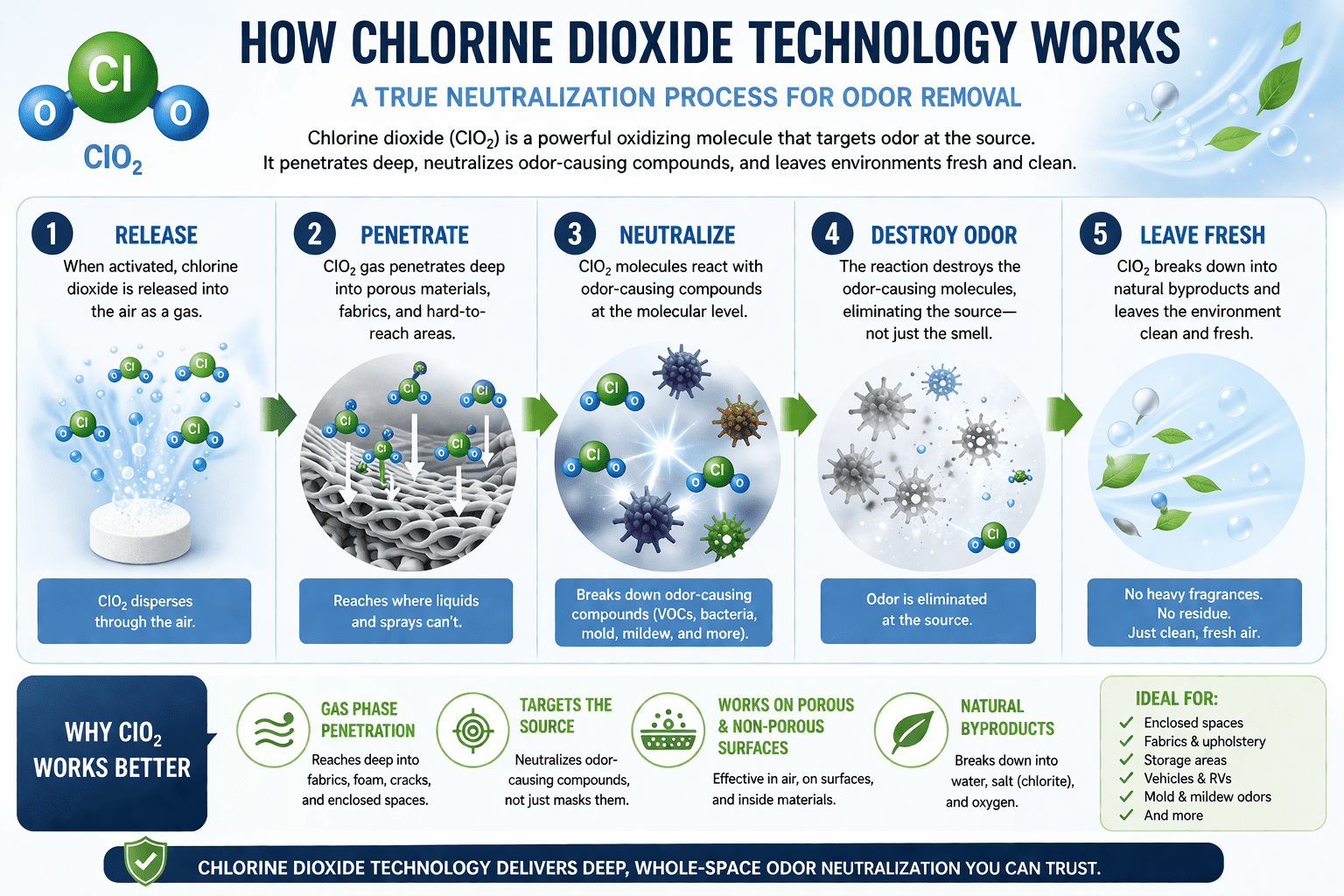 infograph showing how clo2 works to break down the mildew cycle.