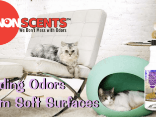 No-NonScents | Ridding Odors from Soft Surfaces