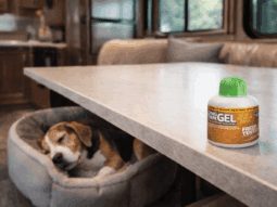 Safe for Pets and Children header image {{brizy_dc_image_alt entityId=