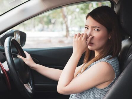 Removing odors from smelly cars makes the drive nicer